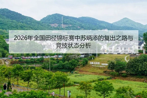 nian-quan-guo-tian-jing-jin-biao-sai-zhong-su-bing-tian-de-fu-chu-zhi-lu-yu-jing-ji-zhuang-tai-fen-xi-2-560.jpg