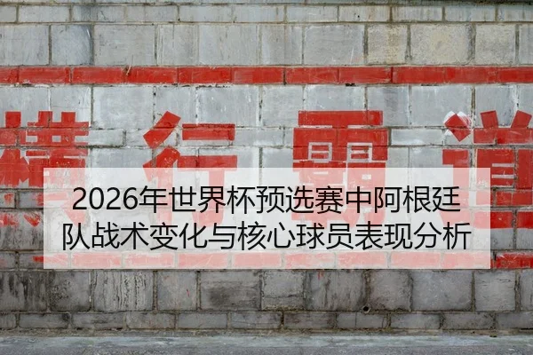 nian-shi-jie-bei-yu-xuan-sai-zhong-a-gen-ting-dui-zhan-shu-bian-hua-yu-he-xin-qiu-yuan-biao-xian-fen-xi-2-628.jpg