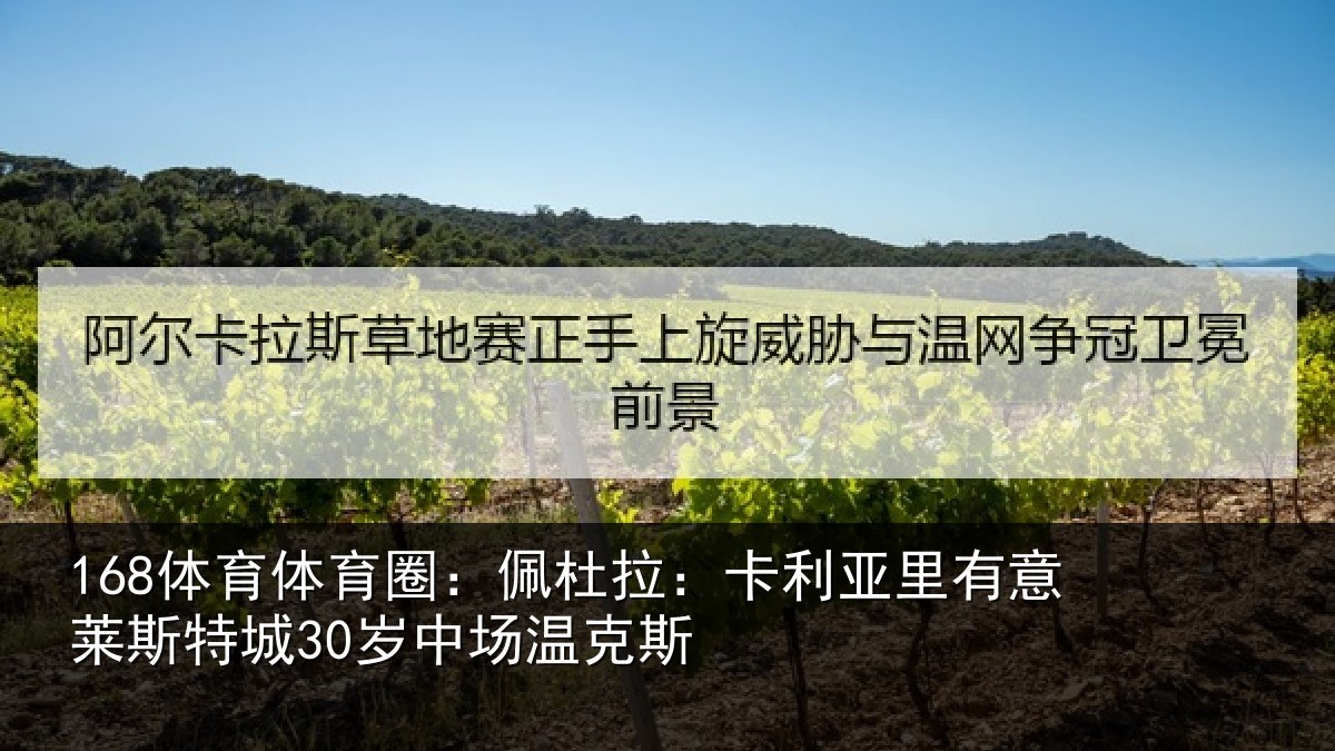 168体育体育圈：佩杜拉：卡利相关情况30岁中场温克斯