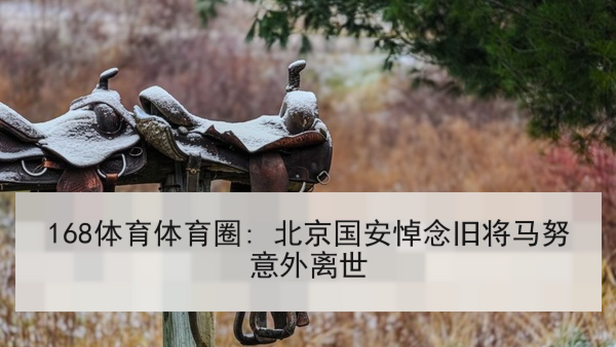 168体育体育圈: 北京国安悼念旧将马努意外离世